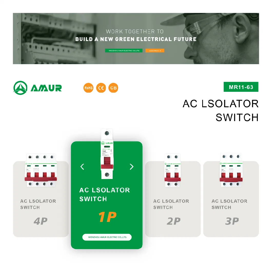 Amur 1p Msd AC 230V MCB Isolator Switch