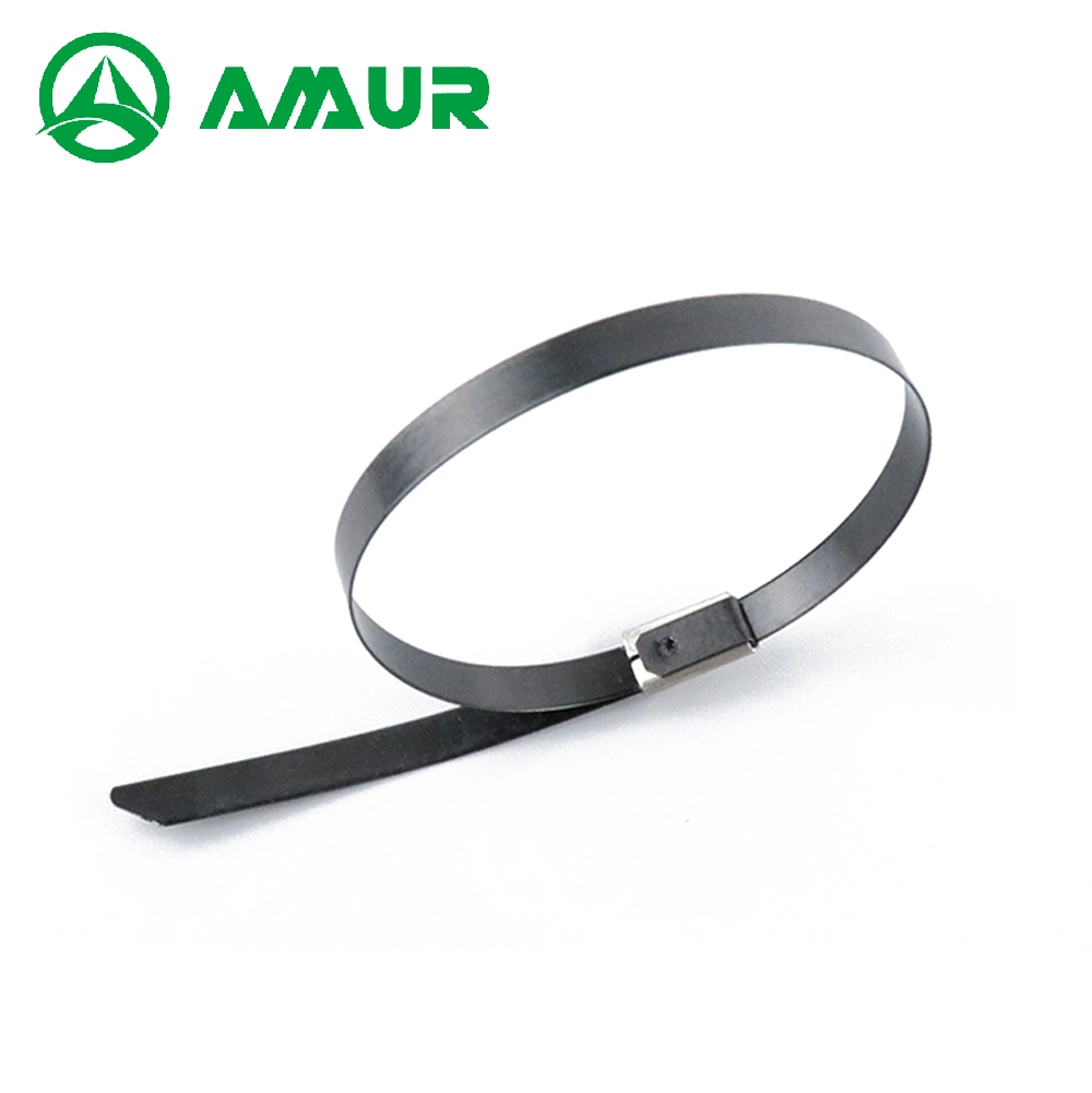 304 4.6*200 Stainless Steel Spray Plastic Cable Tie-Releasable Type