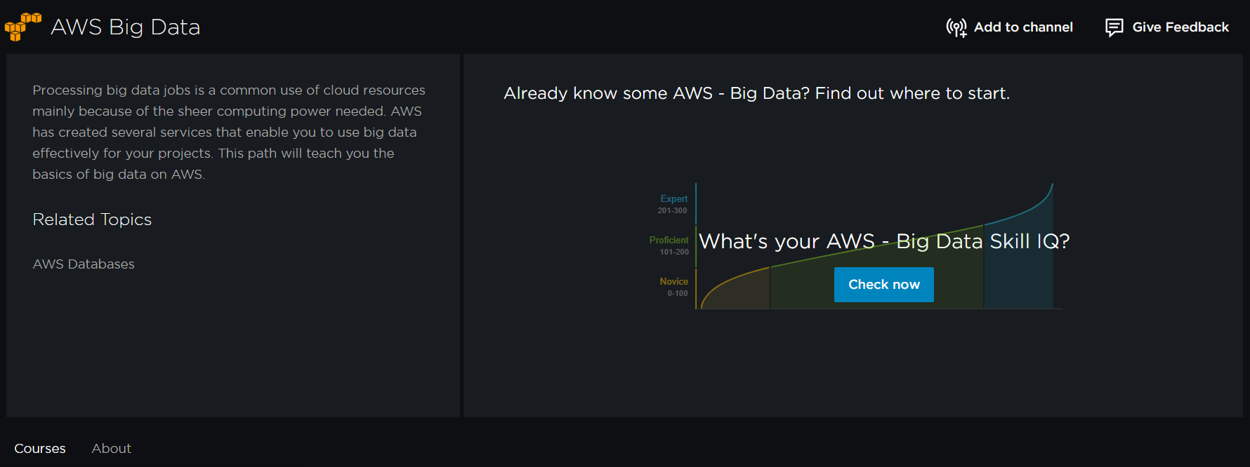 Pluralsight AWS