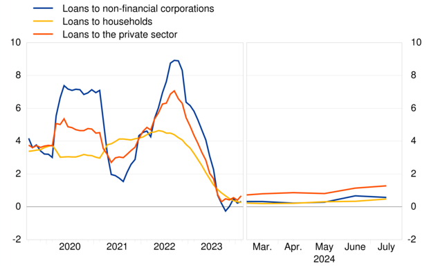 Adjusted loans to the private sector