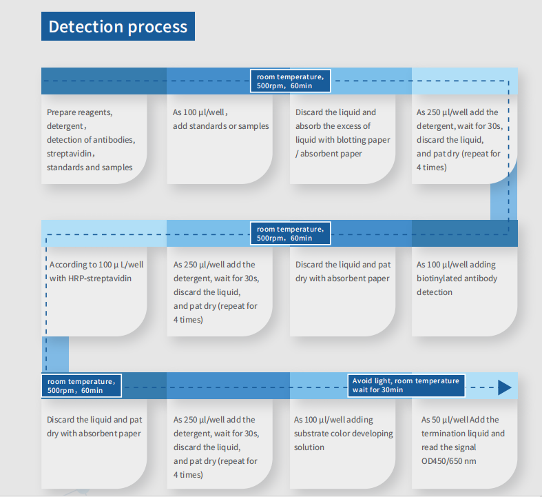 Hzymes dsrna detection process