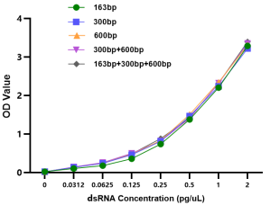 dsRNA with Different Lengths and Sequences