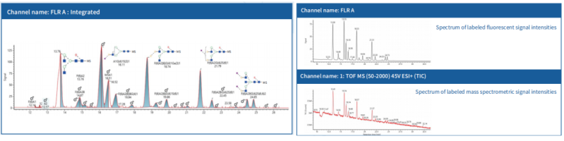 Spectrum of labeled molecular weight.