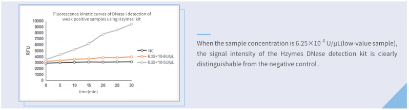 Hzymes DNase Assay kit VS competitor kit