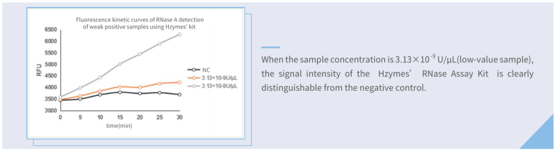 Hzymes RNase Assay kit VS competitor kit