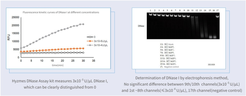 Sensitivity higher than gel electrophoresis method