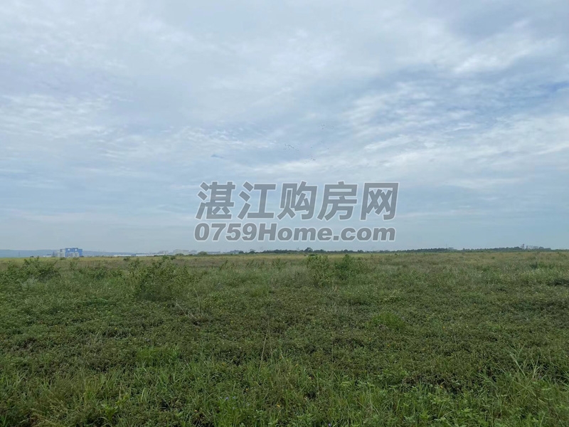 总起拍价约3.34亿元！湛江市区2宗流拍地块重新挂牌